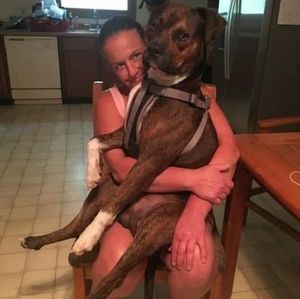 Meet your Posher, Natalie